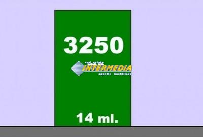 Teren Construcții extravilan de 3200 mp, în Vințu de Jos - 2