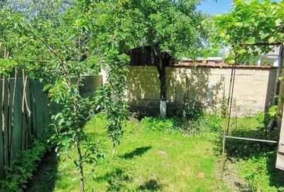 Casa, singur in curte in Bod, zona Centru - 3