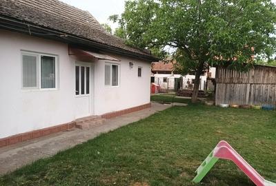 Casă cu Teren 543 Mp în Becicherecu Mic - 6