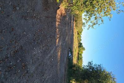 Casă cu 2 camere cu Teren 1918 Mp în Școlilor - 2