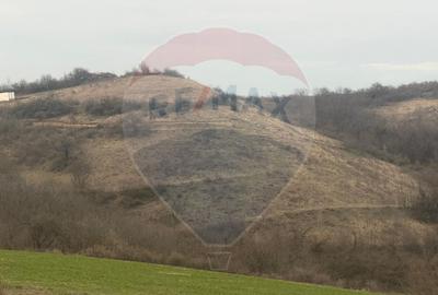 Teren agricol extravilan de 18800 mp, în Crișeni - 3