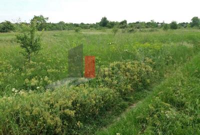 Teren Buftea cu iesire la lac - 7