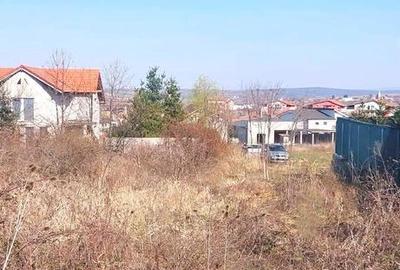 Spațiu comercial, în Paleu