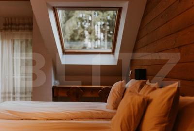 Afacere la cheie! Vila clasificata, 5 camere, 300 mp, teren - 3