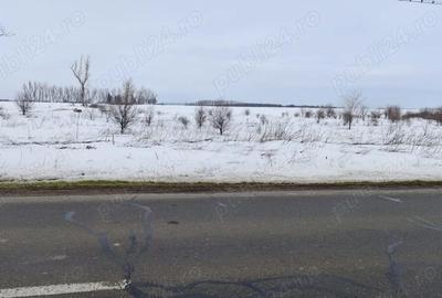 Spațiu comercial, în Pasărea - 5