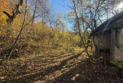 Teren langa pădure 6400mp+casa demolabila-deschidere 35 ml - 10