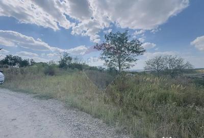 Teren de 6372 mp, în Paleu - 10