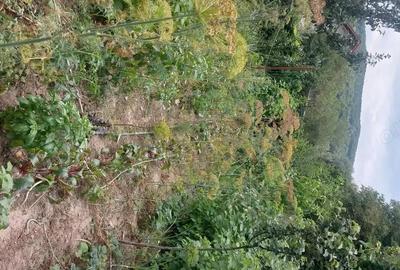 Casă cu 6 camere cu Teren 700 Mp în Aranghel - 2