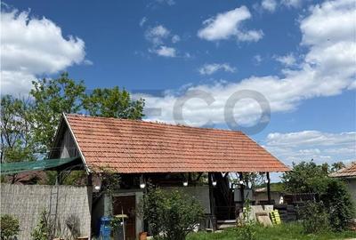 Casă cu 3 camere în Parhida - 7
