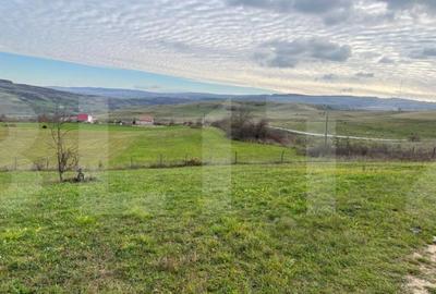 Teren intravilan 1750mp, zona Borhanci - 3