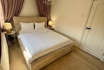 Apartament cu 2 camere semidecomandat, mobilat în Calea Caransebeșului - 2