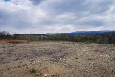 Teren de 26500 mp, în Calea Caransebeșului - 6