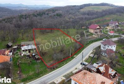 Teren de 2674 mp, în Cepari - 4