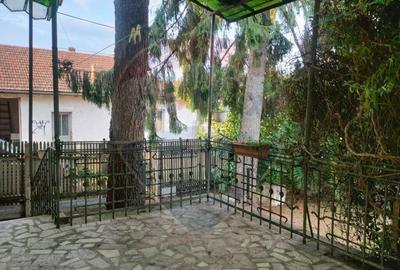 Casa istorica in zona centrala Ludus- Mures - 18