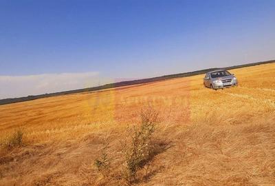 Teren pentru casa/case in Brane?ti pe strada Topora?i - 33