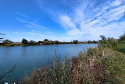 Teren de 63700 mp, în Borș - 19