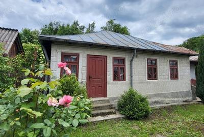 Casa de vanzare 140 m - teren de 2 400 m - sat Tronari, Judetul Buzau - 6