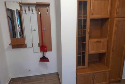Apartament cu 2 camere decomandat în Brazda lui Novac - 7