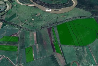 Teren de 1150000 mp, în Aradul Nou