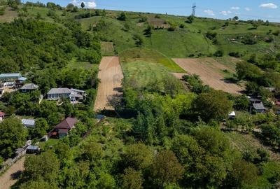 Teren 11.317 mp situat in Parava - Dragusani - Bacau - 4