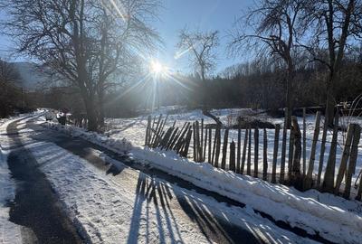 Proprietate intravilană - 2.298 mp - Mălaia, jud. Vâlcea - 3