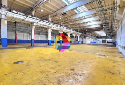 Spatiu industrial - 900 mp  # plus-imo.ro - 3