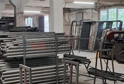 Depozit și hală industrială de vânzare – Orțișoara, complex industrial Avicola - 10