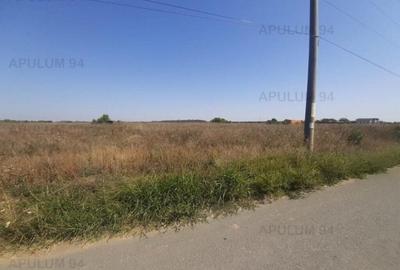 Teren pentru case in 1 Decembrie - 5