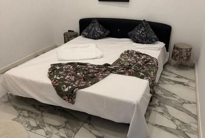 Inchiriez apartament Bulevardul Revolu?iei Lux , Arad, Centru - 2