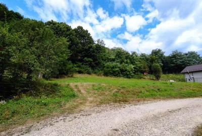 Teren de 2100 mp, în Drăganu - 5