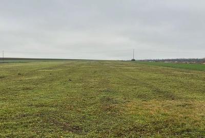 Teren de 500 mp, în Nojorid - 3