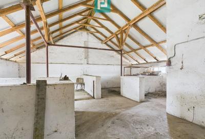 Spațiu industrial, de 765 mp, în Variaș - 11
