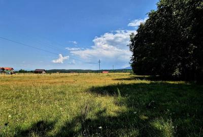 Teren 1000 MP | Deschidere 28 ML | Sambata de Sus | Ideal Casa Vacanta - 1