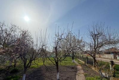 Casă cu 4 camere în Țuțora - 4