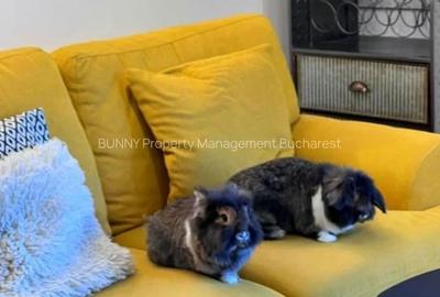 Apartament cu 2 camere, mobilat în Universitate