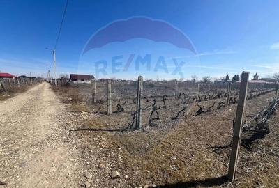 Teren de 1523 mp, în Unirea - 4