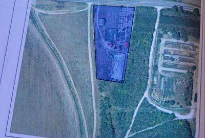 Fermă de vânzare în com. Deleni - DN3 - 10.680 mp - 84 m deschidere - 35