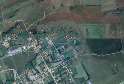 Teren de 1330 mp, în Drăgoiești - 5
