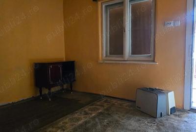 Casă cu 2 camere cu Teren 1585 Mp în Brănișca - 4