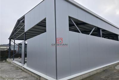 Depozit/hala/spatiu industrial Pantelimon - Comuna Pantelim - 6