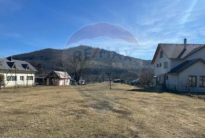 Teren de 3606 mp, în Pângărați - 1