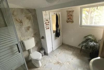 Casa individuala Musicescu. Timisoara - 4