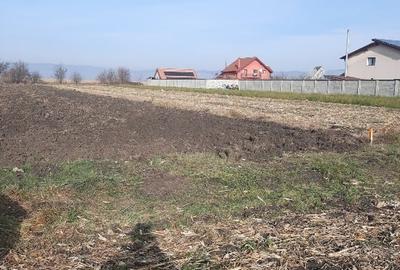 Teren agricol extravilan de 2500 mp, în Bod - 2