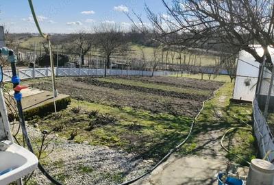 Casă cu Teren 3800 Mp în Redea - 6