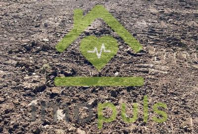 ? Teren intravilan 10.000 mp Mesteacan, jud. Hunedoara ? - 7