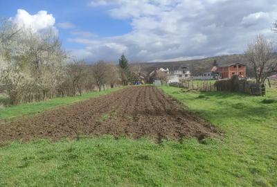 Casă cu 2 camere în Gilău - 5