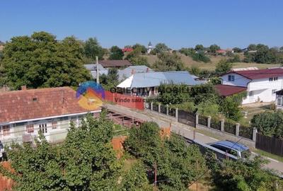 Casa de Vanzare – Dumbrava Rosie - 5