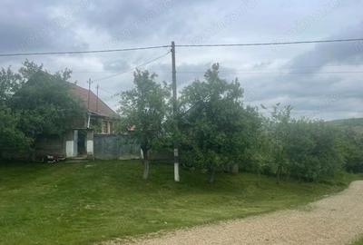 Casă cu Teren 2472 Mp în Burzuc - 5