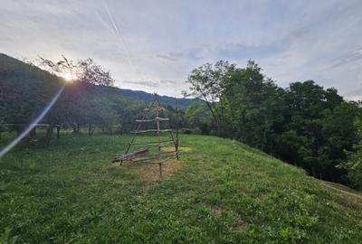 TEREN DE VANZARE SECIURI - 4