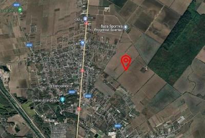 Teren intravilan 1 Decembrie, judetul Ilfov, ID: R2319723 - 3